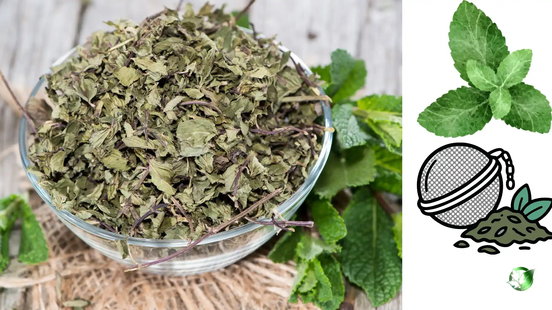 Commercial presentation of Dried Mint for wholesale product evaluation and buyer review.